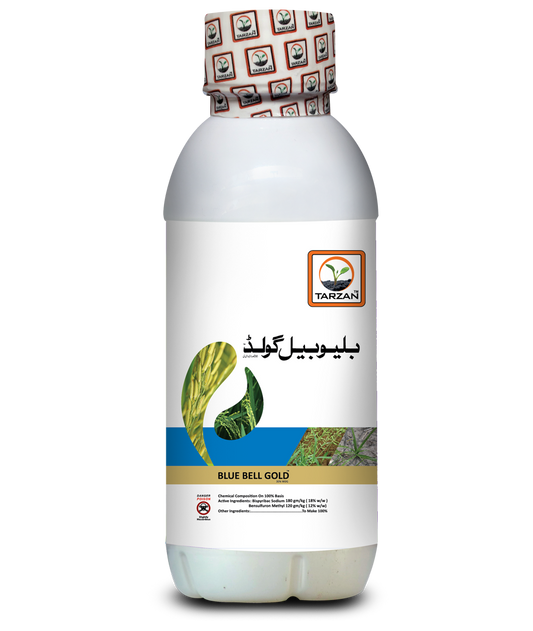 بلیو بیل گولڈ