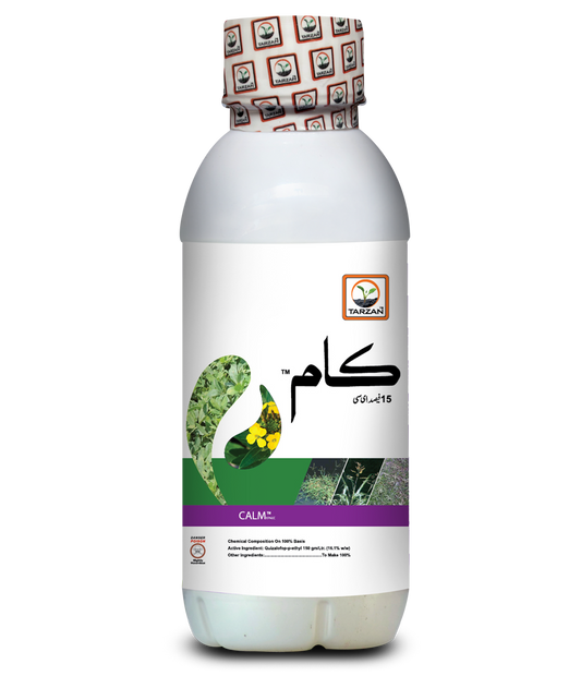 پرسکون