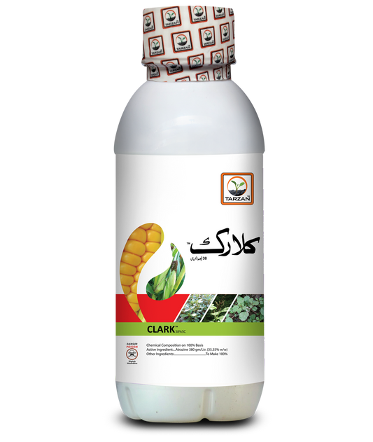 کلارک