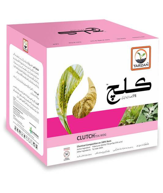 کلچ