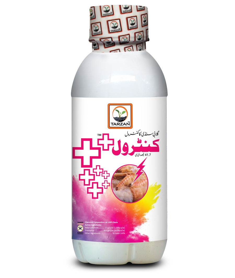 Control Plus