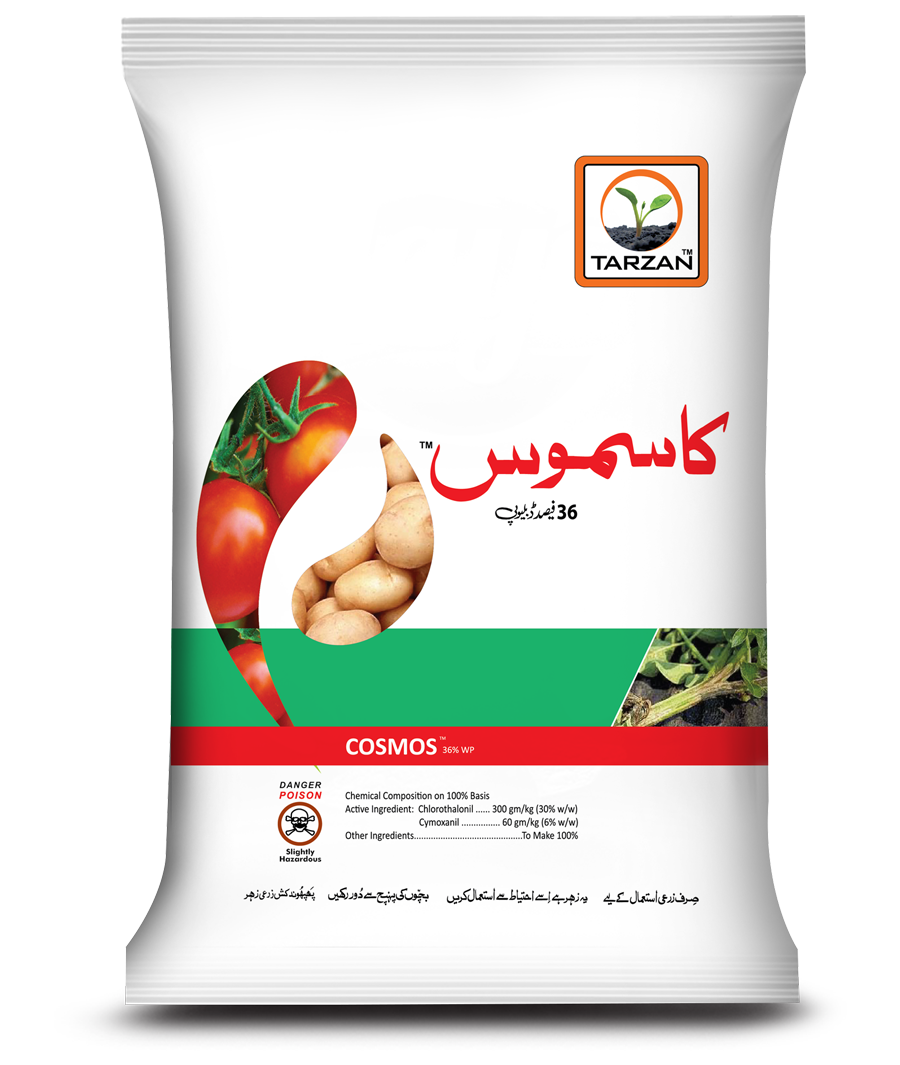 کاسموس