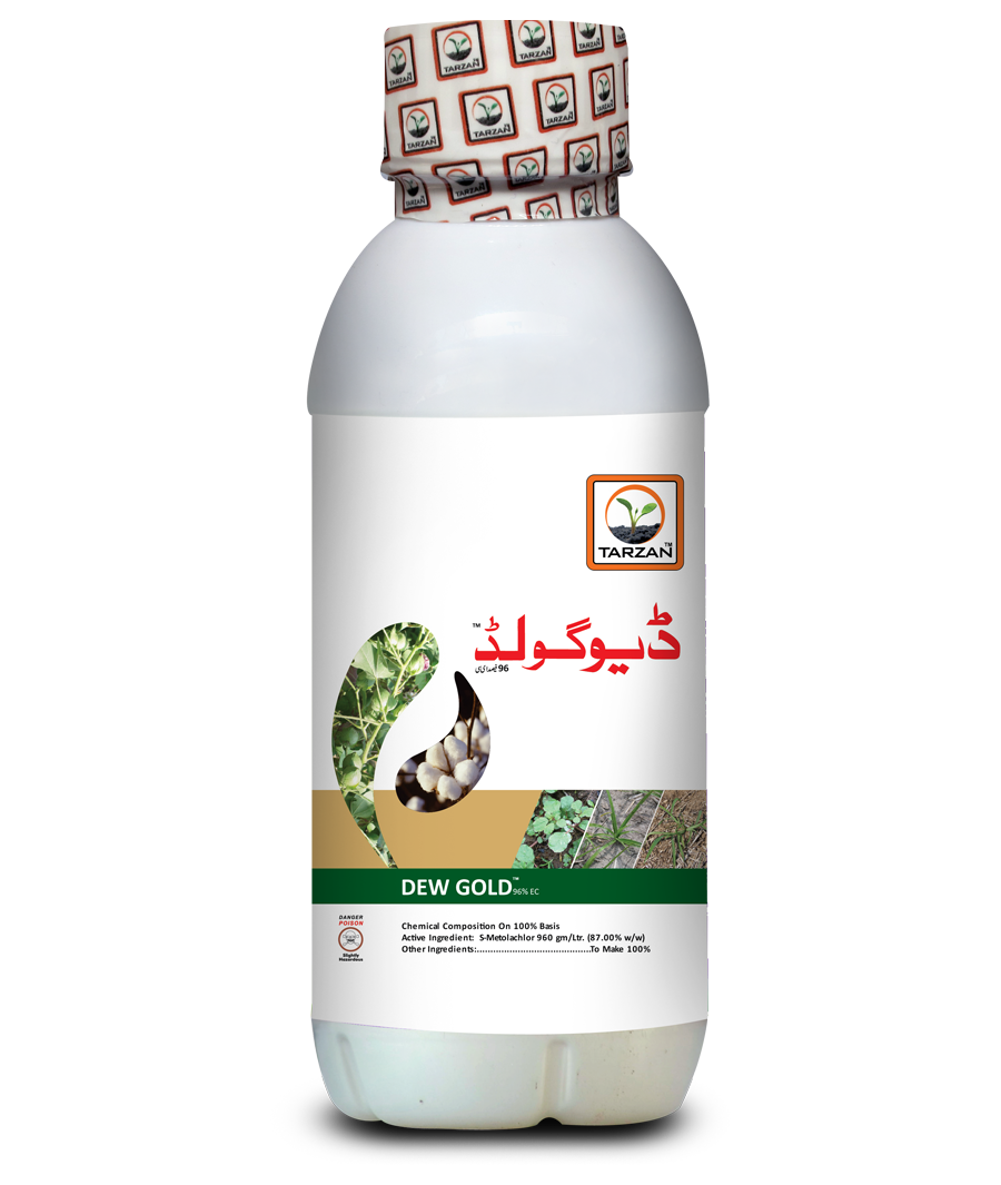 اوس سونا