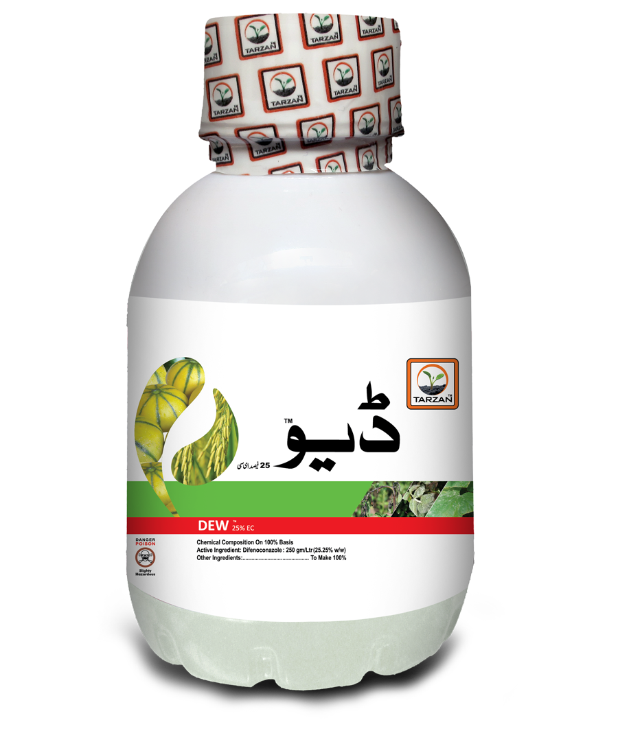 اوس