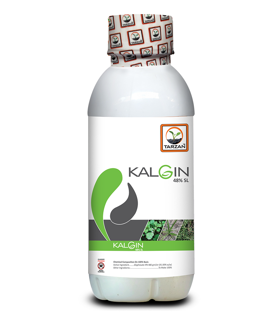 Kalgin