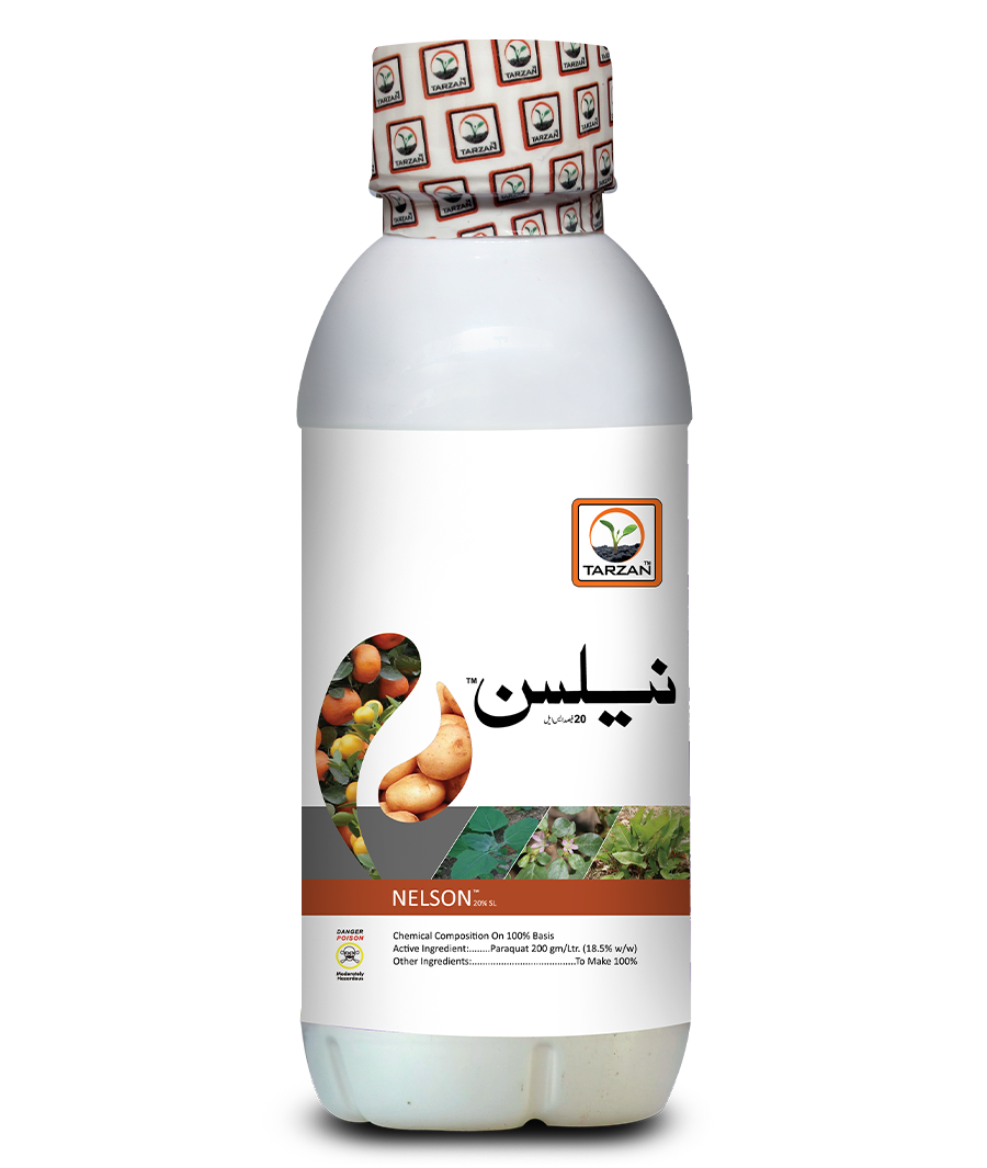 نیلسن
