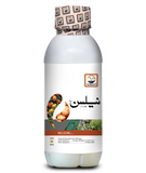 نیلسن