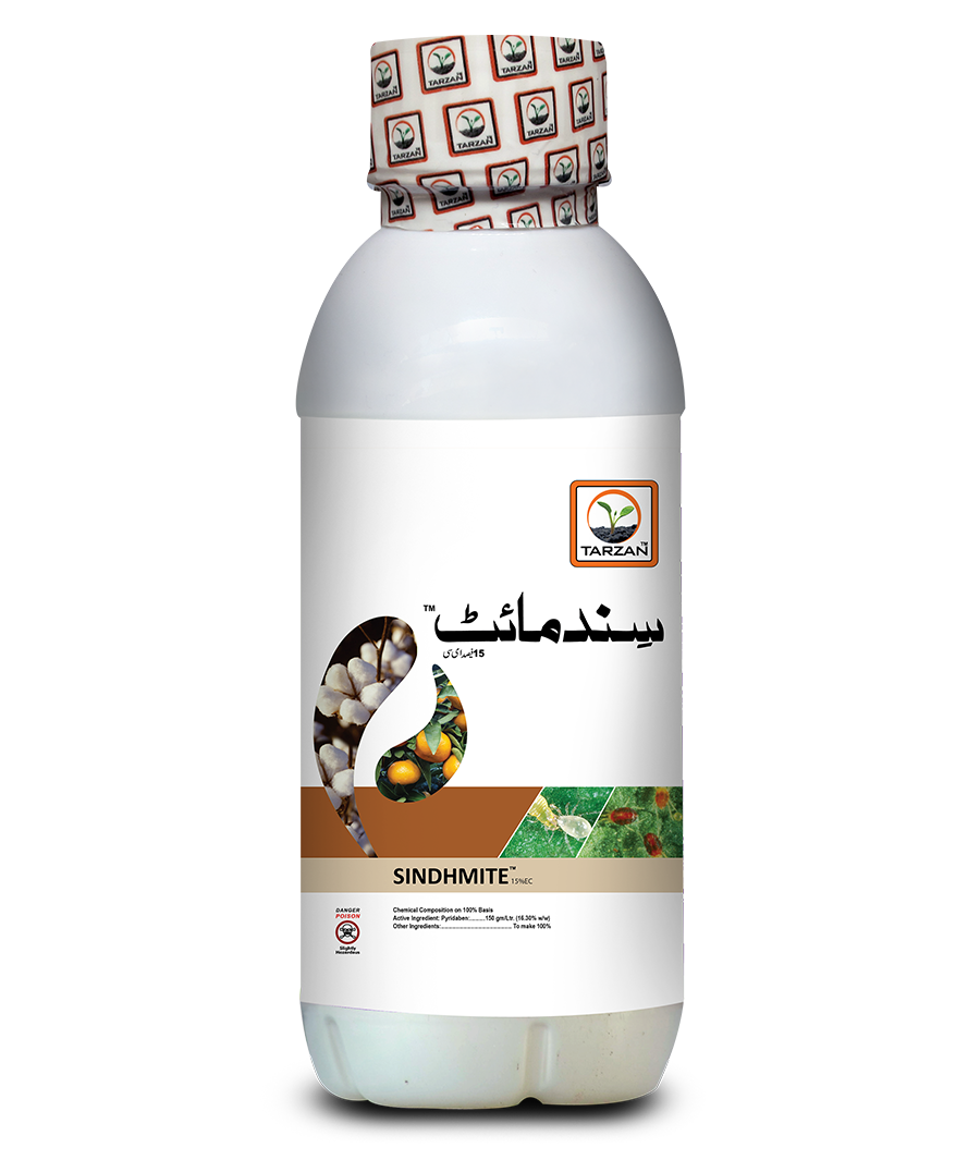 Sindhmite
