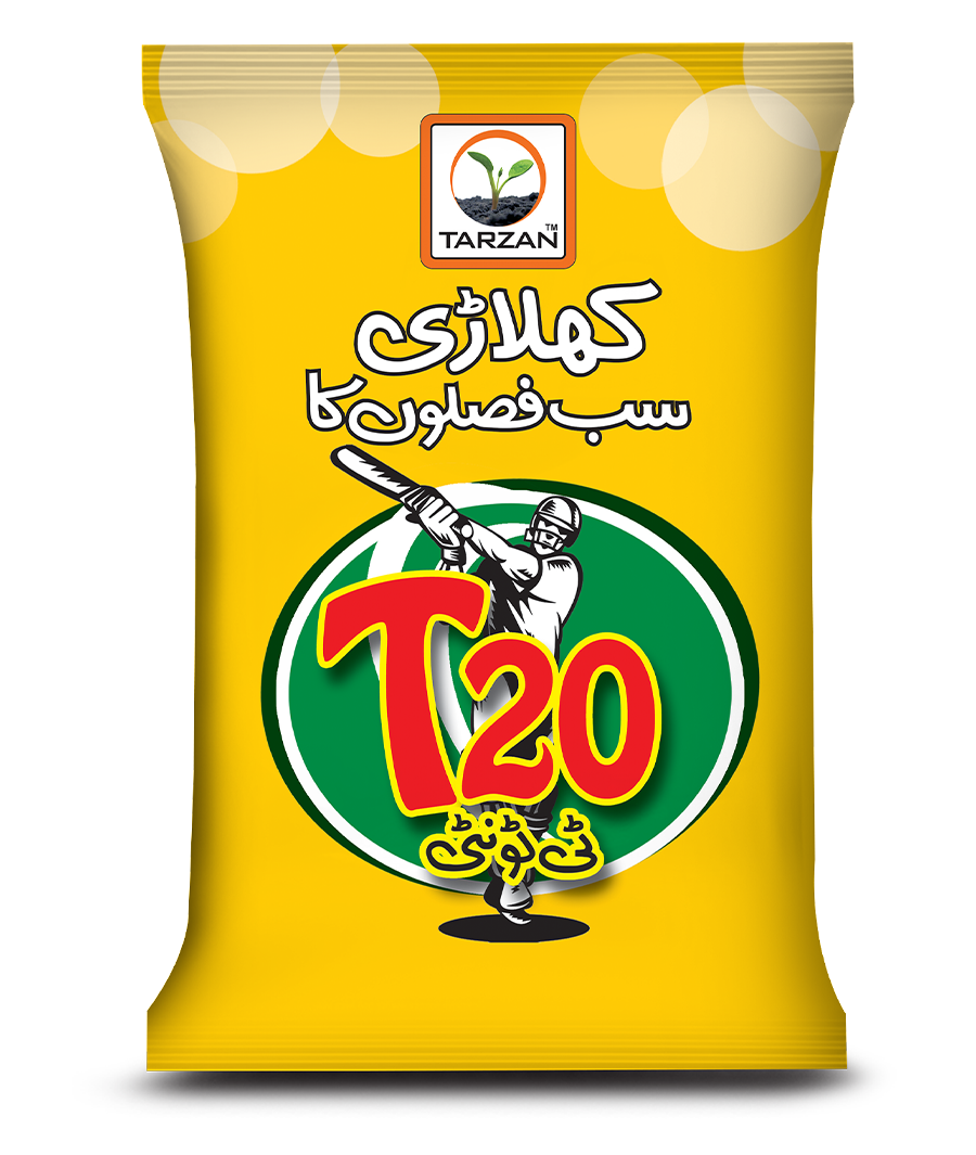T-20