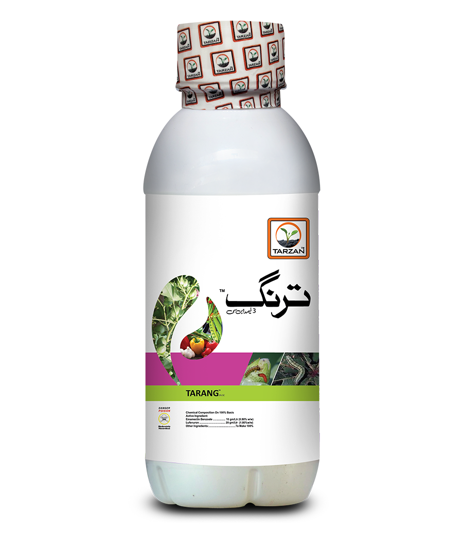 Tarang
