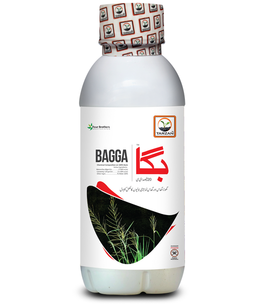 Bagga