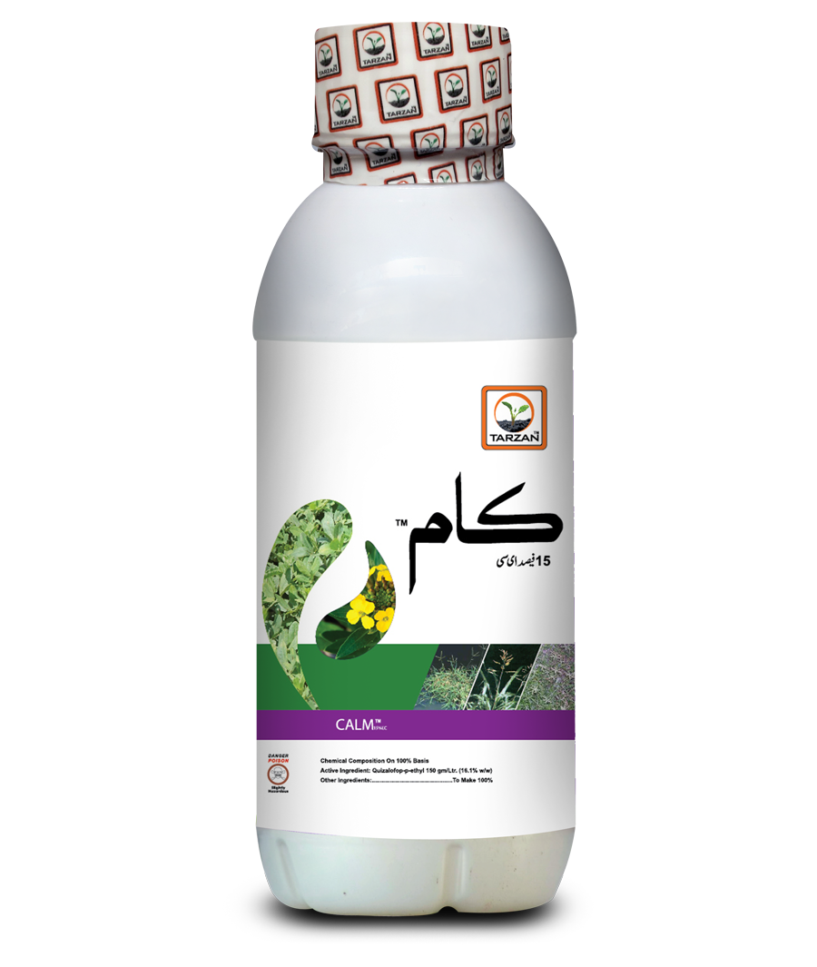 پرسکون