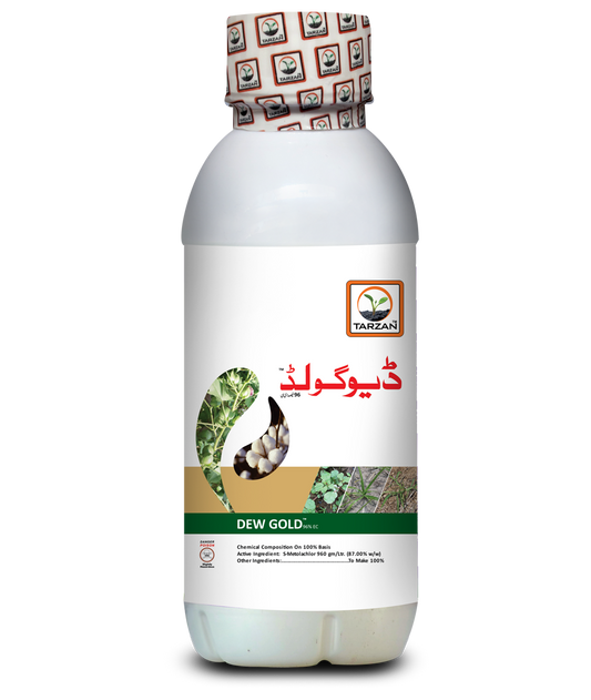 Dew Gold
