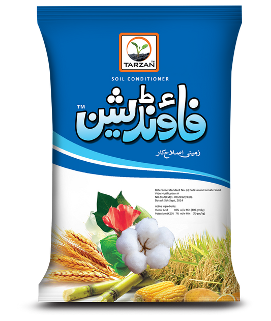 فاؤنڈیشن