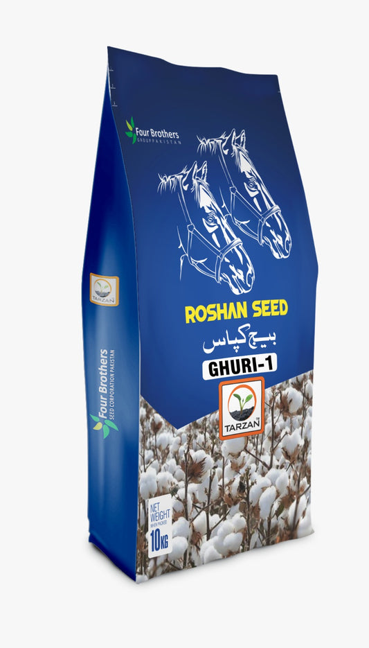 Ghauri (delinted 2kg)