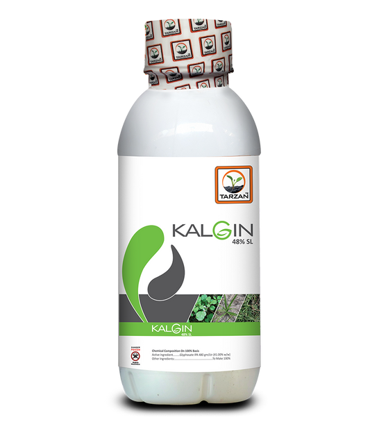 Kalgin