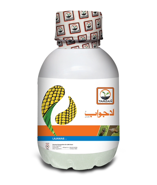 لاجواب