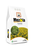 Mezola Seeds