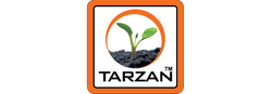 Tarzan 