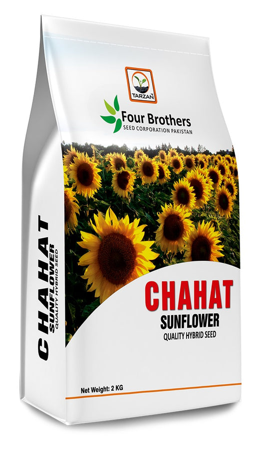 Chahat Sunflower Seeds